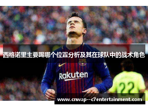 西格诺里主要踢哪个位置分析及其在球队中的战术角色