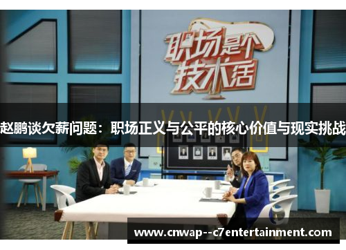 赵鹏谈欠薪问题：职场正义与公平的核心价值与现实挑战