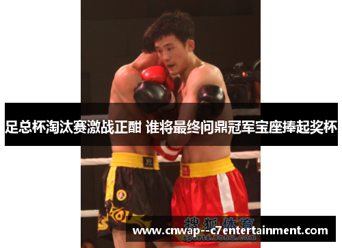 足总杯淘汰赛激战正酣 谁将最终问鼎冠军宝座捧起奖杯
