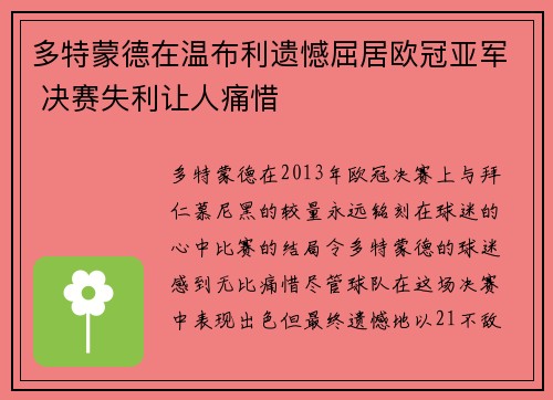 多特蒙德在温布利遗憾屈居欧冠亚军 决赛失利让人痛惜